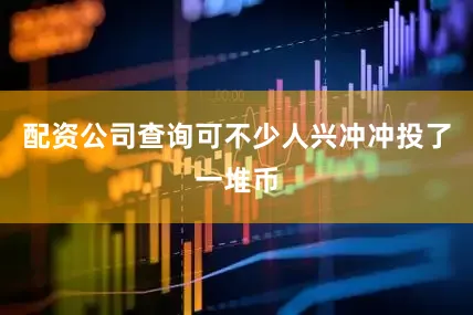 配资公司查询可不少人兴冲冲投了一堆币