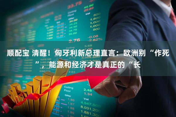 顺配宝 清醒！匈牙利新总理直言：欧洲别 “作死”，能源和经济才是真正的 “长
